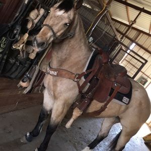 Meet your Posher, Annmarie